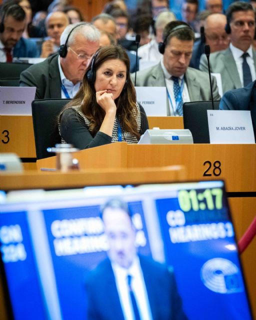 Maravillas Abadía solicita en el Parlamento Europeo medidas urgentes para quienes han perdido su hogar con la DANA - 1, Foto 1