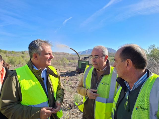 El Gobierno regional refuerza las actuaciones en Coto Cuadros, donde ya se ha intervenido sobre 322 hectreas y se prev alcanzar las 835, Foto 2