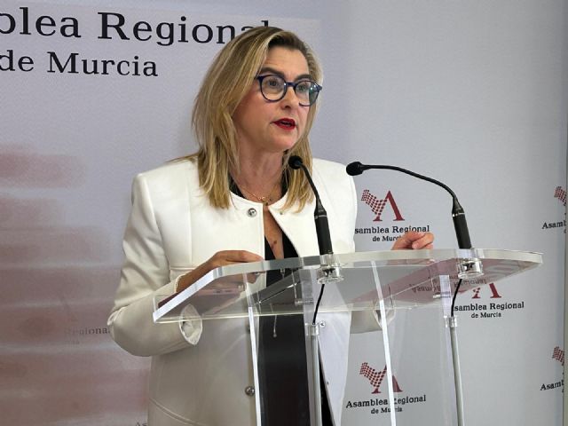 Carmina Fernndez: Hoy se pone de manifest la pinza real entre el PP y Vox, que han convertido la comisin del AVE en un circo, Foto 1