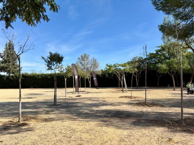 El CEIP Antonio Delgado Dorrego estrena nuevo arbolado gracias al Plan Foresta - 4, Foto 4