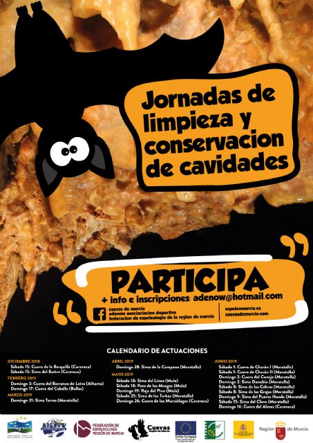 Un proyecto de conservación medioambiental permitirá la limpieza de 20 cavidades del noroeste murciano - 1, Foto 1