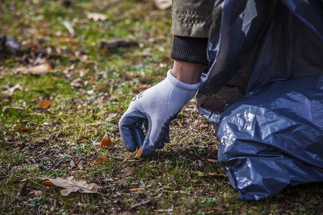 2ª Edición de ´1m2 por el campo, los bosques y el monte´: del 10 al 16 de diciembre - 1, Foto 1