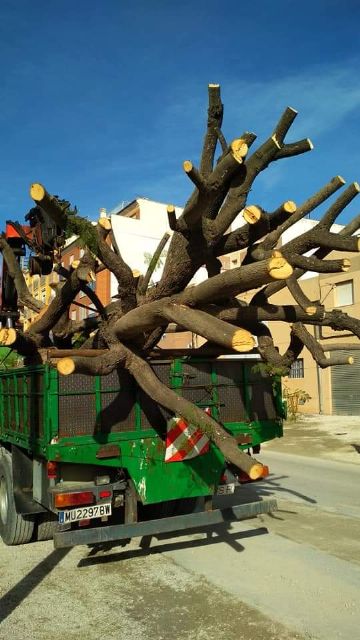 IU critica la poca seriedad en el grado del cumplimiento de su acuerdo de gobierno con el PSOE - 3, Foto 3