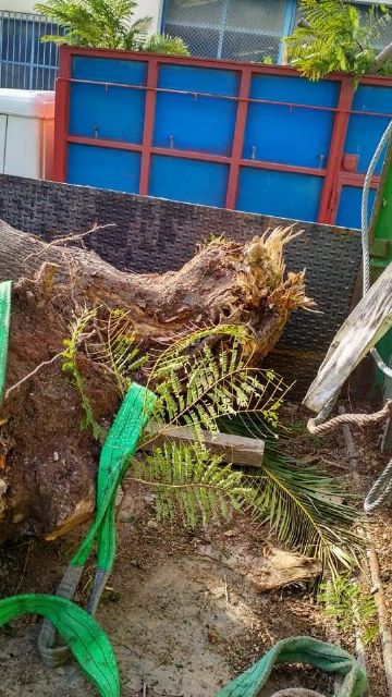 IU critica la poca seriedad en el grado del cumplimiento de su acuerdo de gobierno con el PSOE - 4, Foto 4