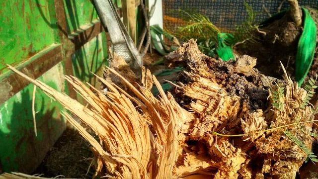 IU critica la poca seriedad en el grado del cumplimiento de su acuerdo de gobierno con el PSOE - 5, Foto 5