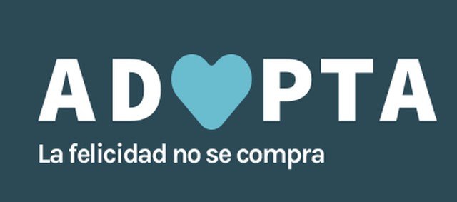 Los Veterinarios de Murcia impulsan la campaña de adopción de mascotas en Navidad: Adopta: La Felicidad no se Compra - 1, Foto 1