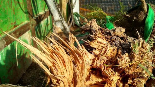 El PP denuncia que el actual alcalde incumple su palabra con los vecinos de la zona - 2, Foto 2