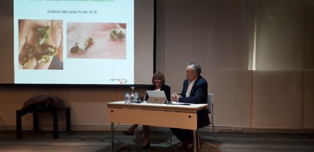 Agroseguro presenta en Murcia las novedades del seguro de frutales - 1, Foto 1