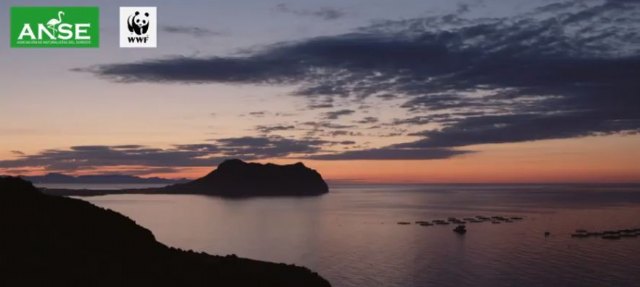ANSE Y WWF presentan un video sobre la Naturaleza de Cabo Cope - 1, Foto 1