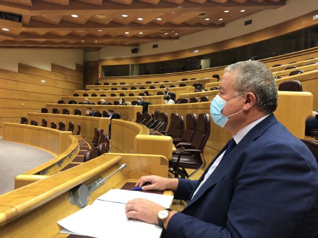 Bernabé a Saura: Usted ha dado más fechas de la llegada del AVE a Murcia que versiones dio su jefe Ábalos del caso Delcy - 1, Foto 1