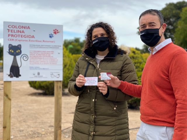 El Ayuntamiento inicia la señalización de las colonias felinas - 1, Foto 1