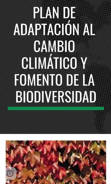 El CEIP Cervantes de Molina de Segura desarrolla un Plan de Adaptación al Cambio Climático y Fomento de la Biodiversidad - 1, Foto 1