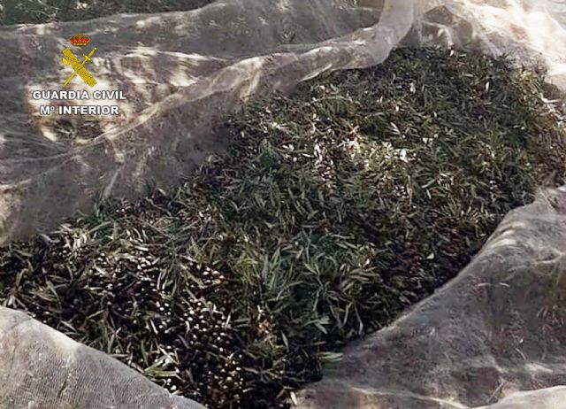 La Guardia Civil desmantela un grupo delictivo dedicado a la sustracción de productos del campo en Mula - 1, Foto 1