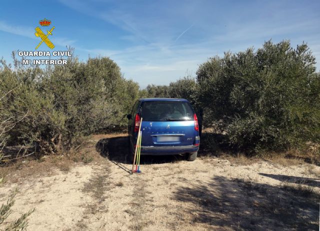 La Guardia Civil desmantela un grupo delictivo dedicado a la sustracción de productos del campo en Mula - 3, Foto 3