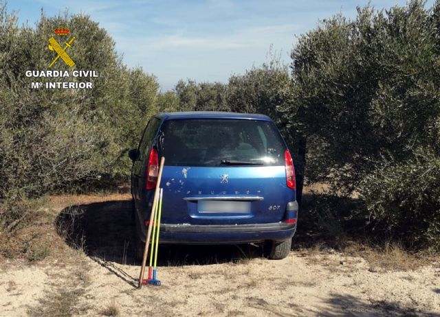 La Guardia Civil desmantela un grupo delictivo dedicado a la sustracción de productos del campo en Mula - 4, Foto 4
