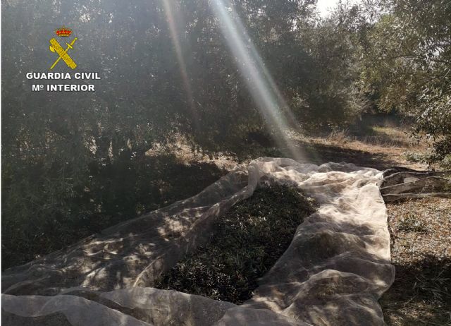 La Guardia Civil desmantela un grupo delictivo dedicado a la sustracción de productos del campo en Mula - 5, Foto 5
