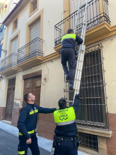 La Policía Local detiene a una persona por un delito de tentativa de robo con fuerza en una vivienda en Lorca - 1, Foto 1