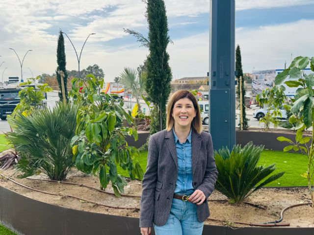 La rotonda situada junto al Complejo Deportivo Felipe VI ya luce su nuevo entorno mejorado - 1, Foto 1