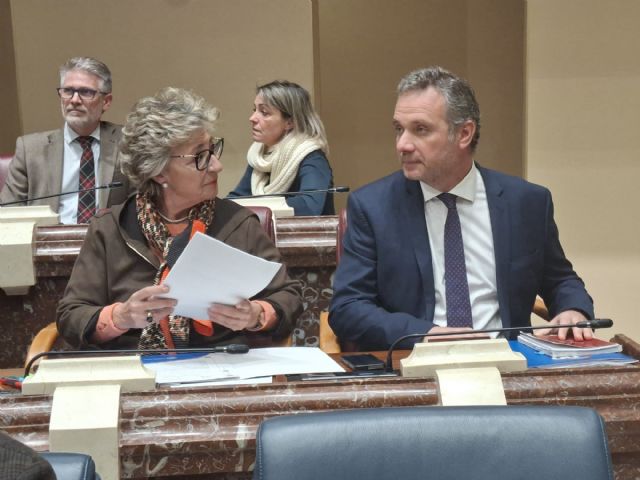 El PP denuncia que la moción de Vox sobre vestimentas islámicas es engañosa, inútil, ineficaz para la seguridad y peligrosa para la convivencia - 1, Foto 1