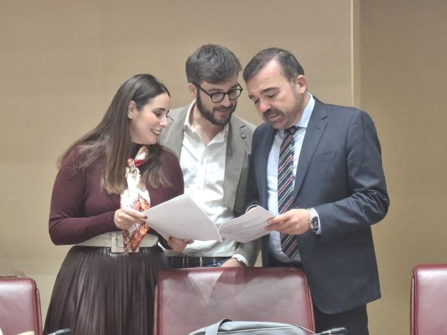 La pinza PSOE-Vox rechaza la eliminación del IVA de la carne de pollo y de los huevos para aliviar el precio de la cesta de la compra - 1, Foto 1