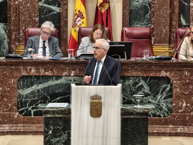El PSOE saca adelante una iniciativa para que el Gobierno regional pague las ayudas al autoconsumo y el Plan Moves III a la mayoría de beneficiarios - 1, Foto 1