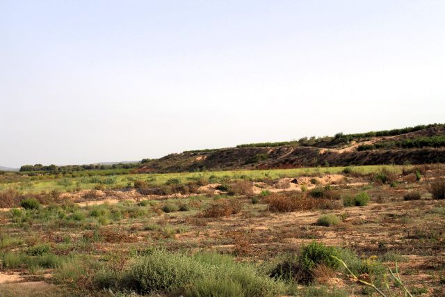 El Consejo de Ministros autoriza la contratación de las obras de protección frente a inundaciones en la rambla de Cobatillas - 1, Foto 1