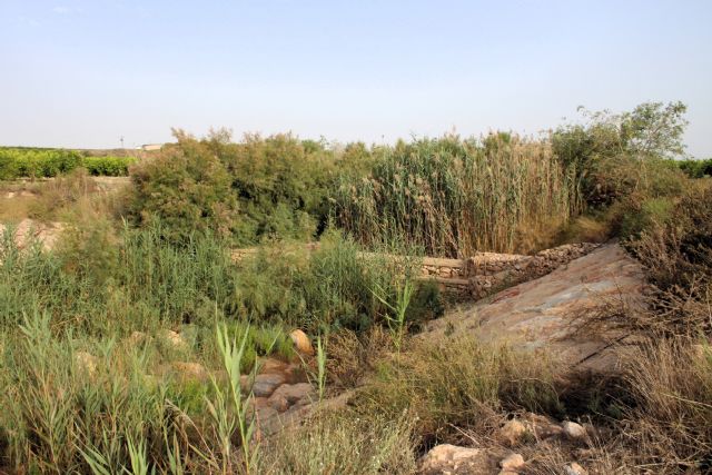 El Consejo de Ministros autoriza la contratación de las obras de protección frente a inundaciones en la rambla de Cobatillas - 2, Foto 2