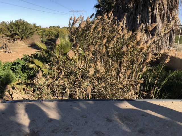 PP: Diego Conesa nos prometió medidas urgentes en el canal d-7 para evitar otras inundaciones - 2, Foto 2