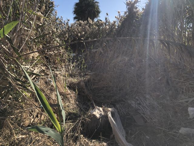 PP: Diego Conesa nos prometió medidas urgentes en el canal d-7 para evitar otras inundaciones - 3, Foto 3