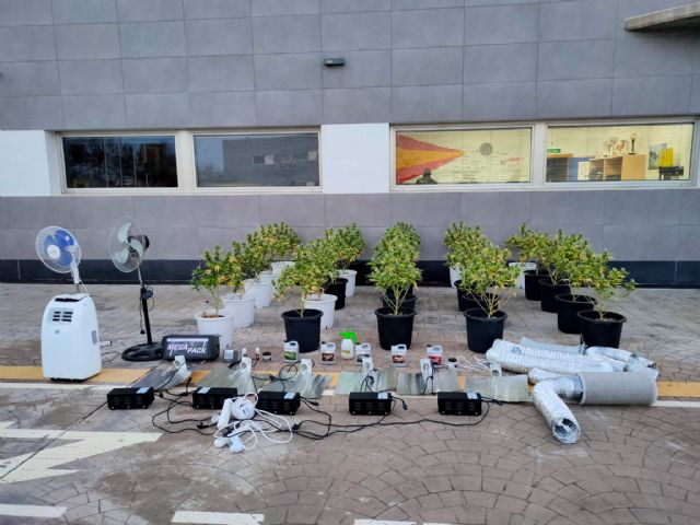 La Policía Local de Lorca detiene a un varón de 38 años e interviene 25 plantas de marihuana en avanzado estado de floración - 1, Foto 1