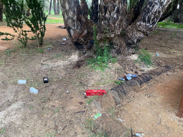 El PP propone sacar del actual estado de abandono el palmeral de Zaraiche - 1, Foto 1