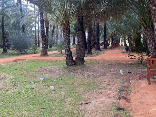 El PP propone sacar del actual estado de abandono el palmeral de Zaraiche - 2, Foto 2