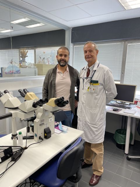 Una investigación de la UMU demuestra que las células madre mesenquimales modificadas con un localizador terapéutico logran frenar ataques inmunológicos letales - 2, Foto 2