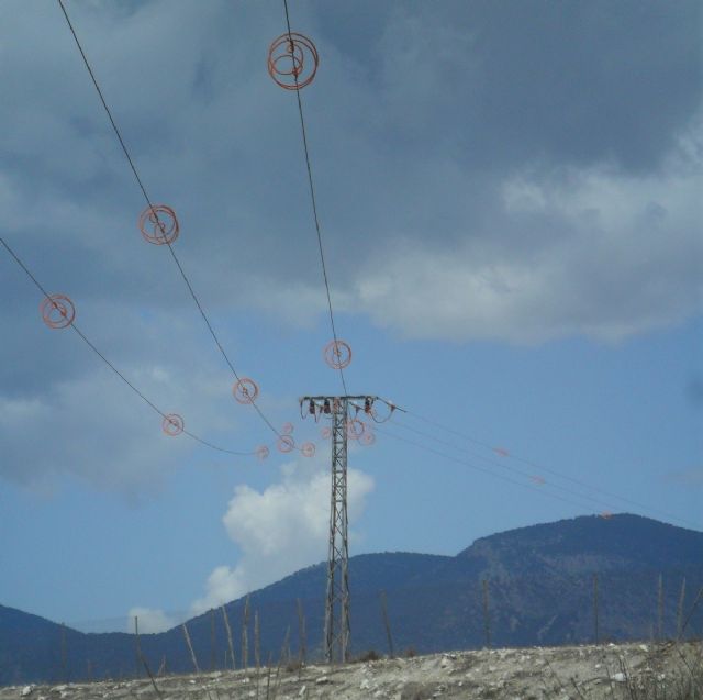 El Gobierno regional lanza una convocatoria de subvenciones para proteger la avifauna mediante la adaptación de líneas eléctricas de alta tensión - 2, Foto 2