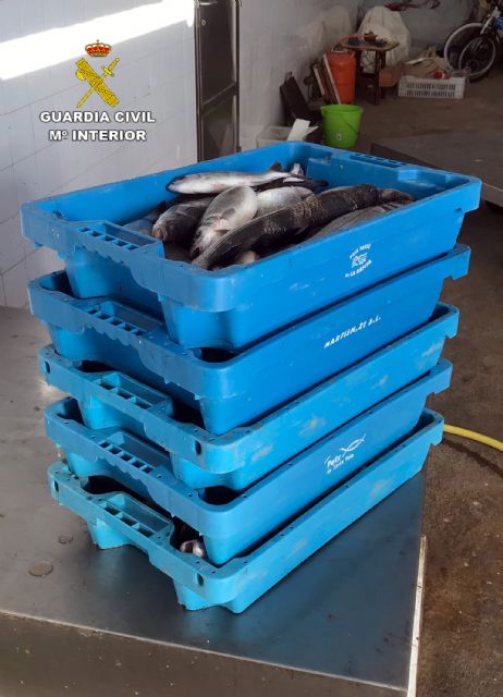 La Guardia Civil sorprende a dos pescadores furtivos en Portmán-La Unión - 2, Foto 2