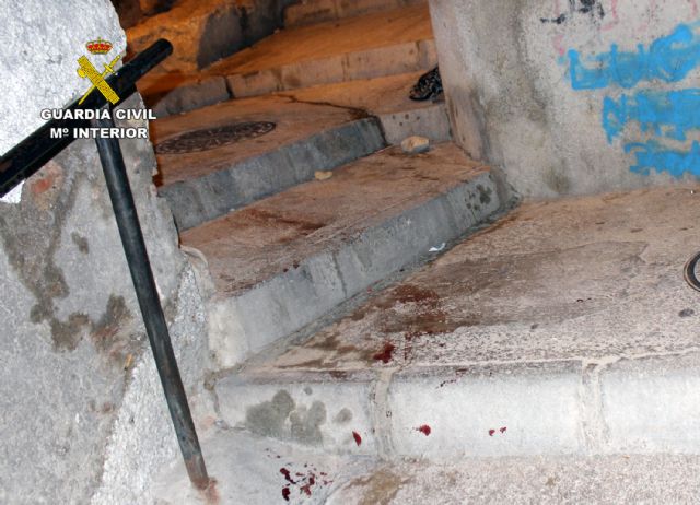 La Guardia Civil desmantela un peligroso grupo delictivo que asaltó y disparó al vigilante de una plantación de marihuana - 1, Foto 1