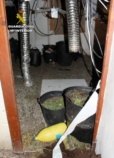 La Guardia Civil desmantela un peligroso grupo delictivo que asaltó y disparó al vigilante de una plantación de marihuana - 2, Foto 2