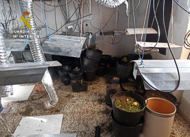 La Guardia Civil desmantela un peligroso grupo delictivo que asaltó y disparó al vigilante de una plantación de marihuana - 3, Foto 3