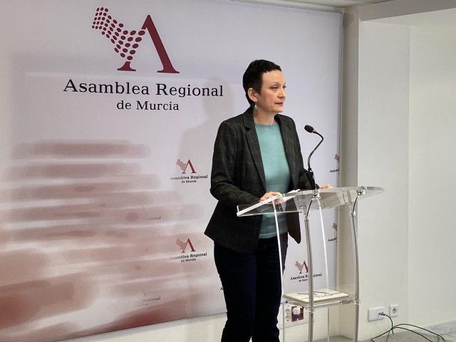 María Marín: El presupuesto de Educación y Cultura ahonda en el deterioro de la calidad de la Educación Pública - 1, Foto 1
