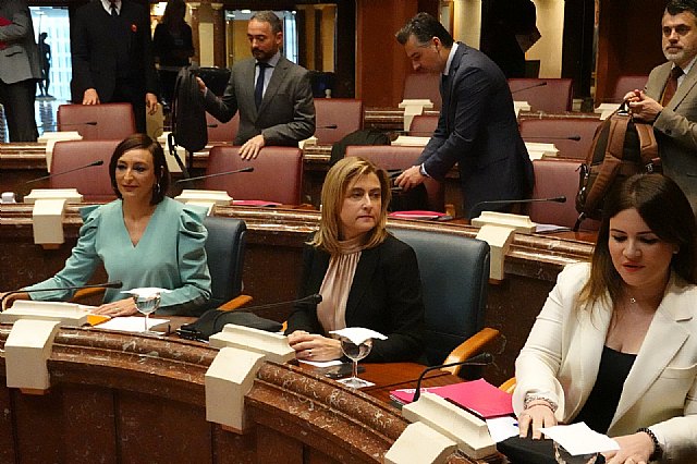 Ciudadanos pide una mayor eficiencia en el gasto y que se evalúen los programas de mejora de la Consejería de Educación - 3, Foto 3