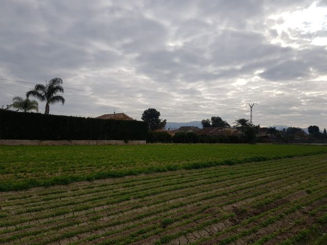 IU-verdes manifiesta su apoyo a la movilización convocada por COAG, ASAJA y UPA el 21 de febrero - 1, Foto 1