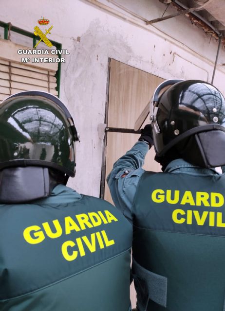 La Guardia Civil desarticula un grupo criminal dedicado al cultivo y tráfico de droga al menudeo en Murcia - 5, Foto 5