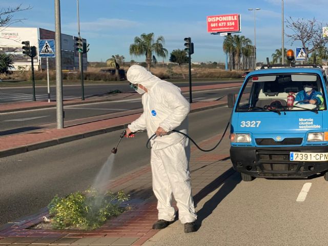 Finaliza el plan especial de limpieza para eliminar las malas hierbas de espacios peatonales - 1, Foto 1
