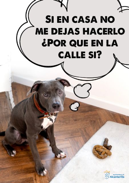 El Ayuntamiento refuerza la vigilancia para evitar conductas incívicas en Alcantarilla con multas de hasta 30.000 euros - 1, Foto 1