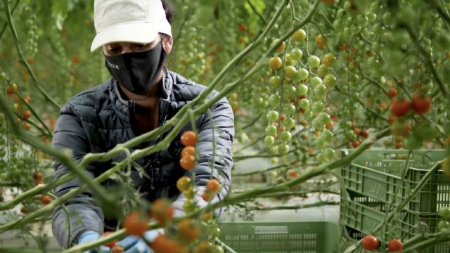 Looije cierra el 2021 con un crecimiento del 19% - 2, Foto 2