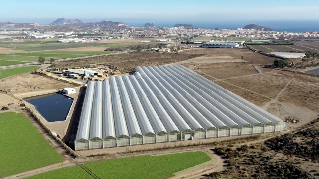 Looije cierra el 2021 con un crecimiento del 19% - 3, Foto 3