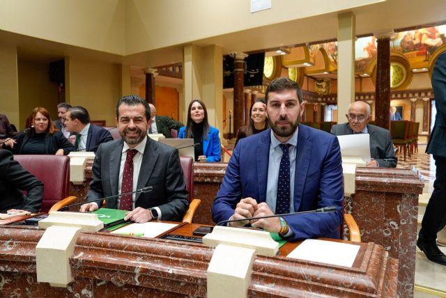 DANIEL SABIOTE_VOX, Foto 1