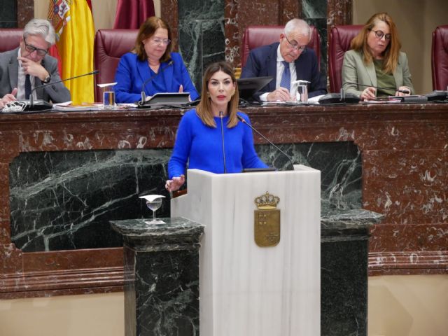 Ruiz Jódar: El nuevo Estatuto Marco de Sanidad supone una amenaza para nuestro sistema sanitario, afectando directamente a los profesionales y a los ciudadanos - 1, Foto 1