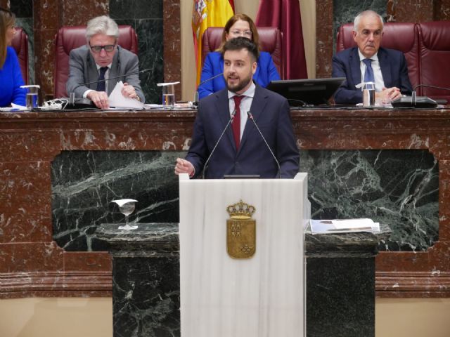 El PP propone a los grupos parlamentarios trabajar conjuntamente en materia de digitalización - 1, Foto 1