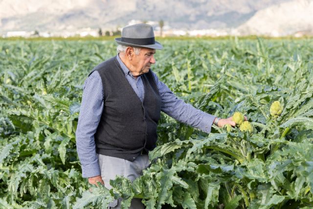 La alcachofa de la Vega Baja reivindica la Inteligencia Agraria frente a la IA tecnológica - 2, Foto 2